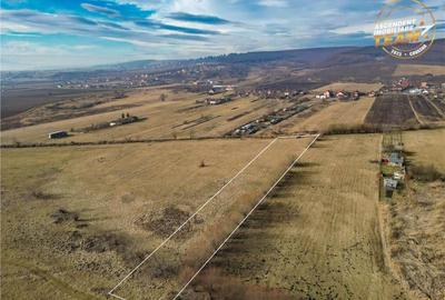 Teren extravilan de 5.800 mp in Sfantu Gheorghe:oportunitate