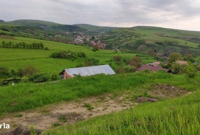 Teren de 2506 mp, în Suceagu - 7