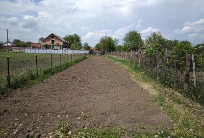 Spațiu comercial, de 1,150 mp, în Lespezi - 3