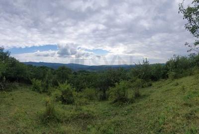 REL4001190 Teren de vanzare in Ogretin I Valenii de Munte I Prahova REL4001190 Teren de vanzare in Ogretin I Valenii de Munte I Prahova - 1