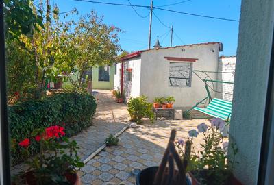 Vand casa deosebita – Pod Constanta Sector 1, Bucuresti - 2