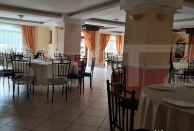 Casă cu 15 camere cu Teren 1380 Mp în Mehala - 3