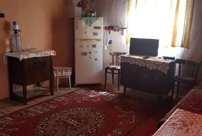 Casă cu 3 camere cu Teren 1400 Mp în Șicula - 6