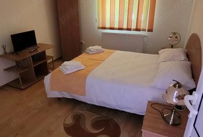Ofer spre administrare inchiriere pensiune 20-25 pers Paltinu - 5