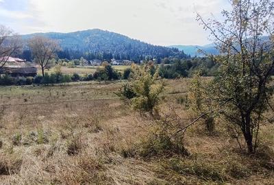 Teren in zona Bradet-Sacele - 6