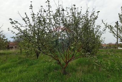 Casă individuală cu 3 camere cu Teren 2175 Mp în Mailat - 20