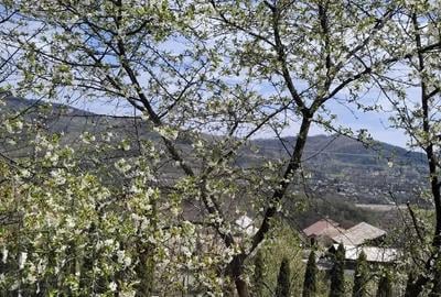 Casa de inchiriat Breaza de Sus in regim hotelier - 1