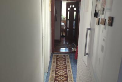 Duplex cu 4 camere cu Canalizare în Petrindu - 5