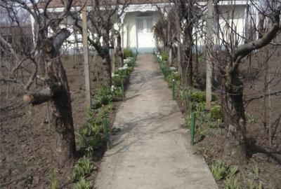 Casă în Central - 1