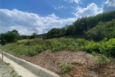 Teren de 1617 mp, în Brătești - 3
