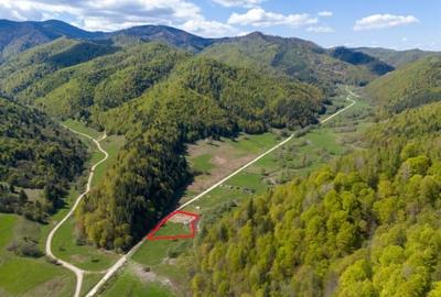 Comision0%Teren 1893mp PUZ in lucru Barsa Fierului Zarnesti