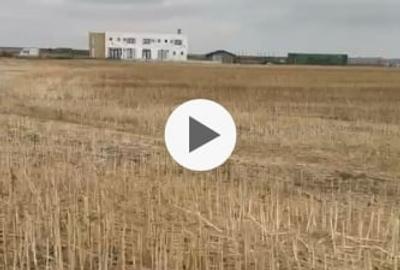 Corbu, lot 500 mp, extravilan, - 2