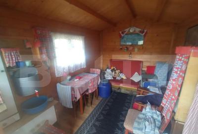 Teren 300 mp + Cabana,zona Livezile,Valea Lunga - 17
