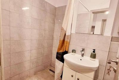 7 Noiembrie - Inchiriere apartament 1 camera - B-dul. 22 Decembrie 1989 7 Noiembrie - Inchiriere apartament 1 camera - B-dul. 22 Decembrie 1989 - 8