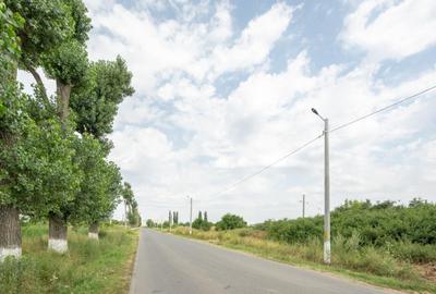 Teren Cernica,pentru Dezvoltare Reziden?iala sau Industria - 13