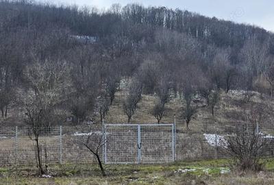 Casă cu 2 camere cu Canalizare în Mitrofani - 5