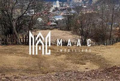 Teren de 3000 mp, în Albac - 4