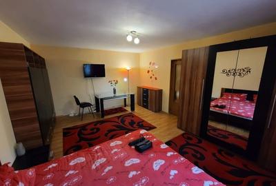 Dristor / Vitan / Garsoniera spatioasa la cheie/ - 3