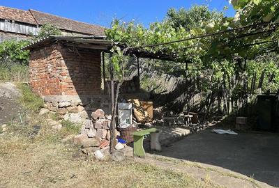 Casă cu Teren 800 Mp în Svinița - 2