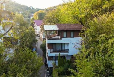 FILM&3D! Resedinta notabila, in pretiosul areal:Drumul Poienii,Centru Istoric Me - 47