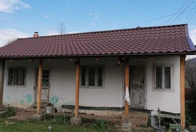 Casă cu 2 camere în Soveja - 3