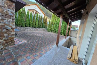 Casă cu Teren 1100 Mp în Viișoara - 2