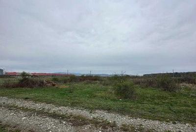 Teren de 5000 mp, în Bănești - 1