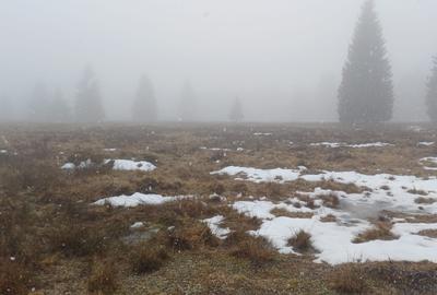 Teren de 2000 mp, în Exterior Vest - 2