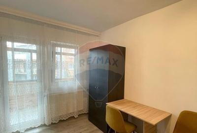 Apartament cu 1 camera de inchiriat in Micalaca - 4