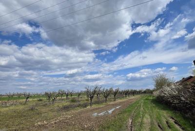 Casă cu 3 camere în Leleasca - 3