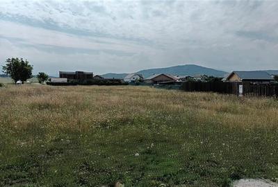 Lot  pentru casa, 800 mp intravilan, Bod, 15 min Brasov - 8