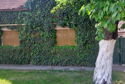 Casa de vanzare strada Fagetului 142 - 5