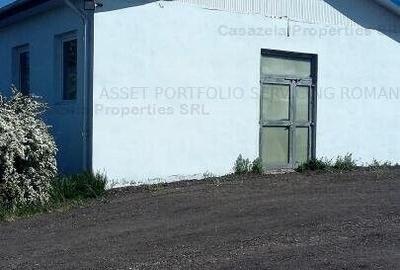 Spațiu comercial, de 750 mp, în Manoleasa - 3
