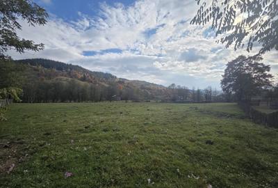 Teren de 2000 mp, în Stulpicani - 8