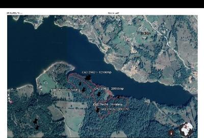 Teren intravilan 11 hectare, cu acces la lac, in loc Colibita