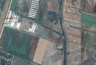 Teren Extravilan Banca, ID: R2805492 - 13