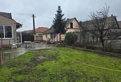 Casă cu 5 camere cu Teren 3040 Mp în Tămășeu - 3