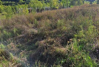 Teren Construcții intravilan de 751 mp, în Morilor - 3