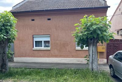 Casă cu 3 camere cu Teren 838 Mp în Fratelia - 6