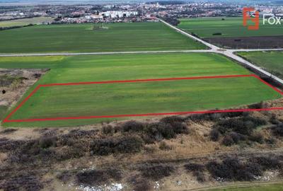 Teren Construcții intravilan de 25000 mp, în Deta - 6