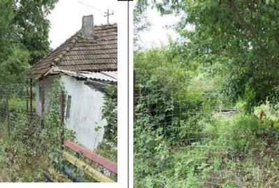Casă cu 2 camere cu Teren 2361 Mp în Costinești - 2