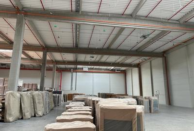 Hala clasa A / Autorizatie ISU /  Sprinklere - 2