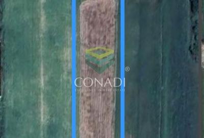 Refugiul tau in natura – Teren cu casa renovabila in Nucet - 1