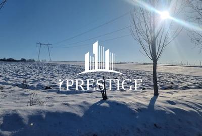 Teren agricol extravilan de 6695 mp, în Șura Mare - 5