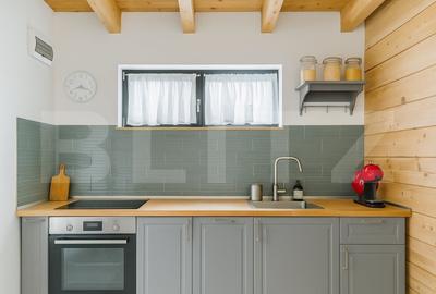 Casa ecologica tip sandwich, eficienta energetic, teren 2.673 mp, zona Baisoara - 3