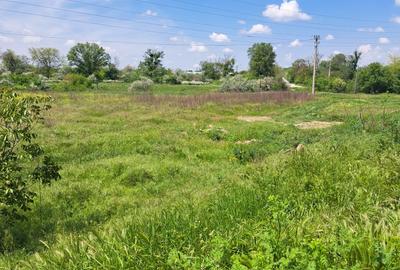 Teren Construcții intravilan de 2500 mp, în Agigea - 4