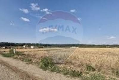 Teren intravilan 3,261mp Balotesti / Strada Rozelor - 2