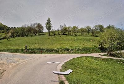 Teren de 2500 mp, în Sohodol - 1