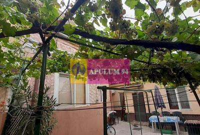 Casa Interbelica - Ultracentral- Popa Nan, Pia?a Alba ... - 2