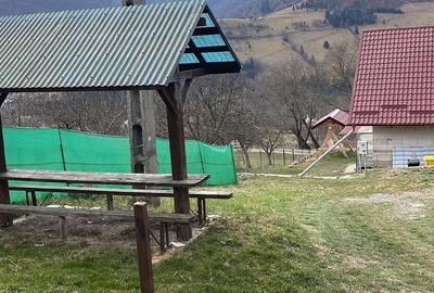 Casă cu 4 camere cu Teren 6 Mp în Lunca - 1